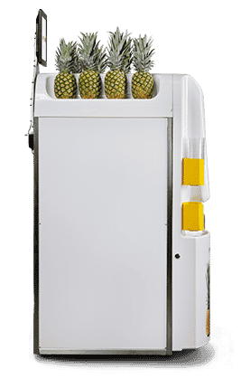 pineomatic-machine-profil